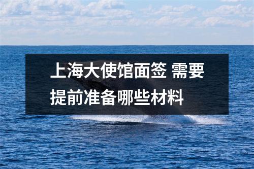 上海大使馆面签 需要提前准备哪些材料 