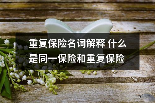 重复保险名词解释 什么是同一保险和重复保险
