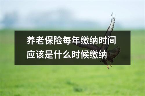 养老保险每年缴纳时间 应该是什么时候缴纳 