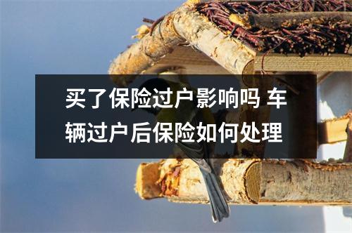 买了保险过户影响吗 车辆过户后保险如何处理