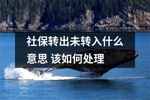 社保转出未转入什么意思 该如何处理