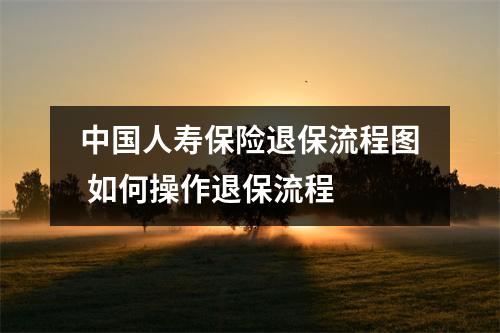 中国人寿保险退保流程图 如何操作退保流程