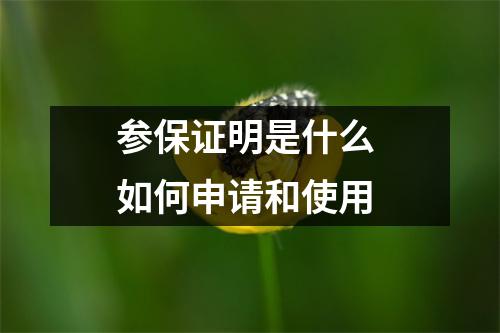 参保证明是什么 如何申请和使用