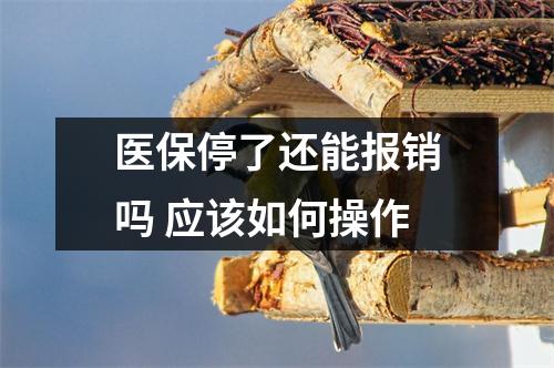 医保停了还能报销吗 应该如何操作