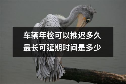 车辆年检可以推迟多久 最长可延期时间是多少