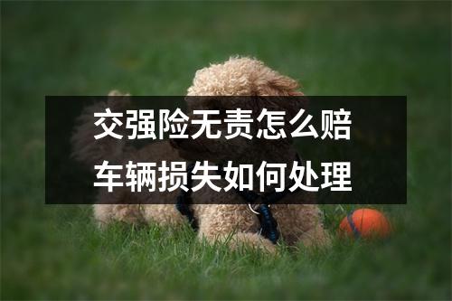 交强险无责怎么赔 车辆损失如何处理