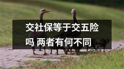 交社保等于交五险吗 两者有何不同