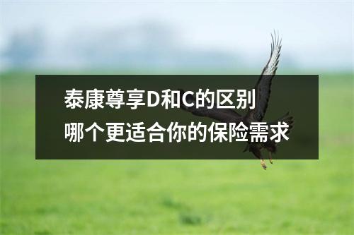 泰康尊享D和C的区别 哪个更适合你的保险需求