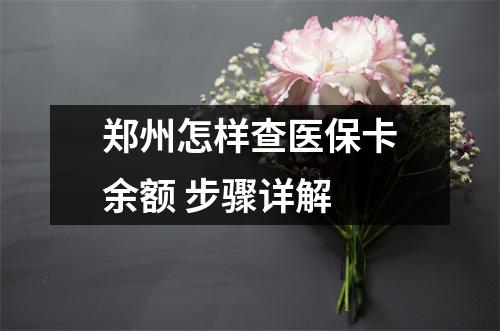 郑州怎样查医保卡余额 步骤详解