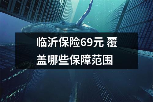 临沂保险69元 覆盖哪些保障范围 