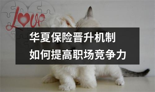 华夏保险晋升机制 如何提高职场竞争力