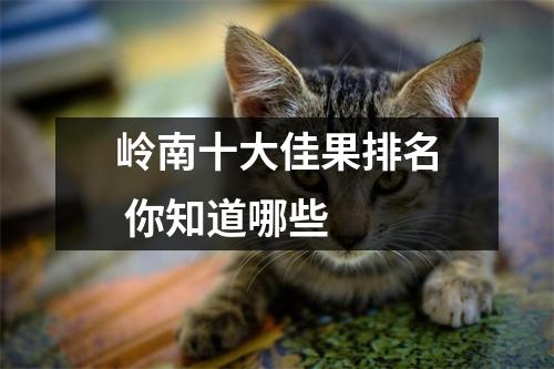 岭南十大佳果排名 你知道哪些 