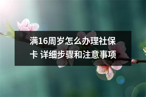 满16周岁怎么办理社保卡 详细步骤和注意事项