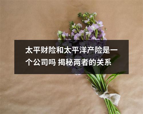 太平财险和太平洋产险是一个公司吗 揭秘两者的关系