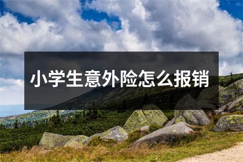 小学生意外险怎么报销