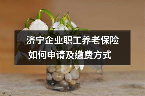 济宁企业职工养老保险 如何申请及缴费方式