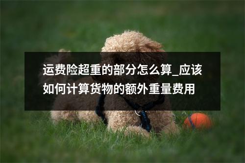 运费险超重的部分怎么算_应该如何计算货物的额外重量费用