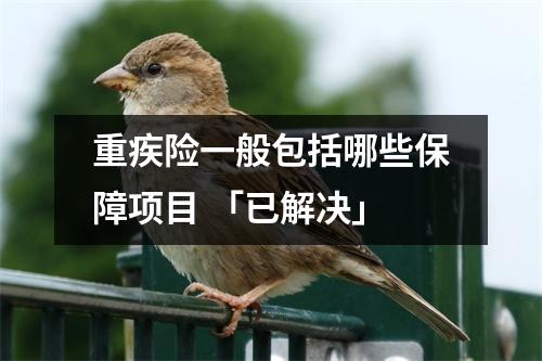 重疾险一般包括哪些保障项目 「已解决」