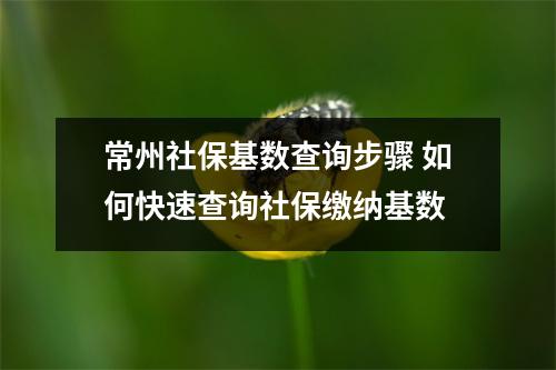 常州社保基数查询步骤 如何快速查询社保缴纳基数