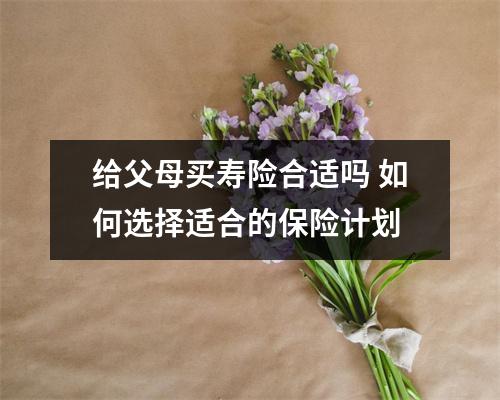 给父母买寿险合适吗 如何选择适合的保险计划