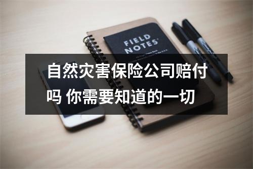 自然灾害保险公司赔付吗 你需要知道的一切