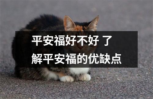 平安福好不好 了解平安福的优缺点
