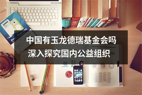 中国有玉龙德瑞基金会吗 深入探究国内公益组织