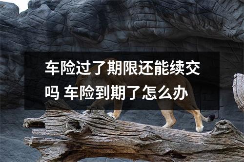 车险过了期限还能续交吗 车险到期了怎么办