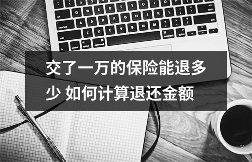交了一万的保险能退多少 如何计算退还金额