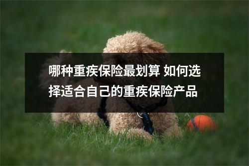 哪种重疾保险最划算 如何选择适合自己的重疾保险产品