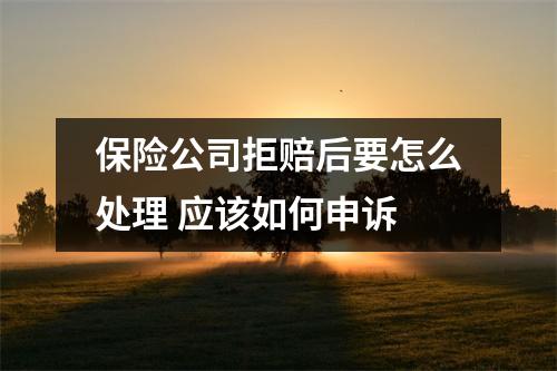 保险公司拒赔后要怎么处理 应该如何申诉