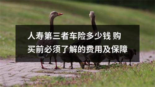 人寿第三者车险多少钱 购买前必须了解的费用及保障