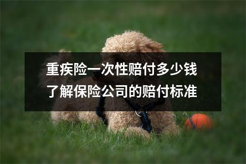 重疾险一次性赔付多少钱 了解保险公司的赔付标准