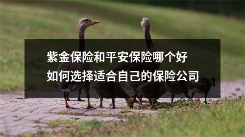 紫金保险和平安保险哪个好 如何选择适合自己的保险公司