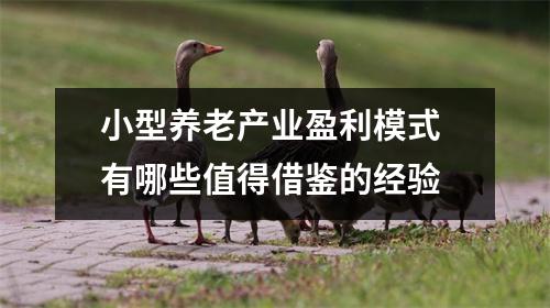 小型养老产业盈利模式 有哪些值得借鉴的经验