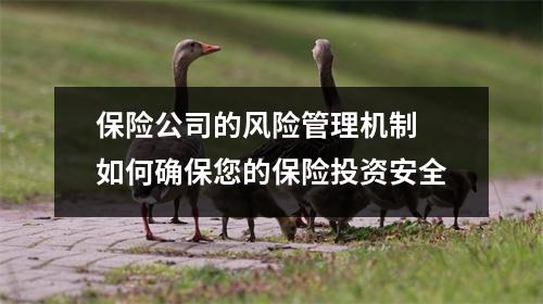 保险公司的风险管理机制 如何确保您的保险投资安全