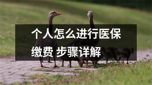 个人怎么进行医保缴费 步骤详解