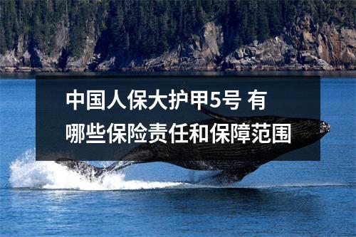 中国人保大护甲5号 有哪些保险责任和保障范围
