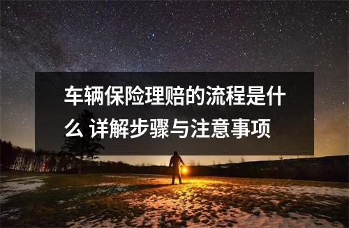 车辆保险理赔的流程是什么 详解步骤与注意事项