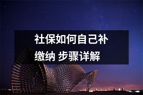 社保如何自己补缴纳 步骤详解