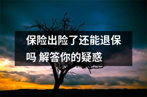 保险出险了还能退保吗 解答你的疑惑