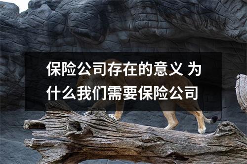 保险公司存在的意义 为什么我们需要保险公司