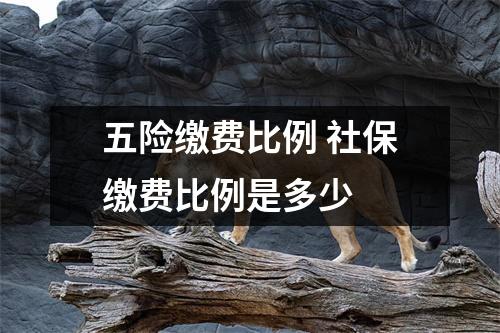 五险缴费比例 社保缴费比例是多少 