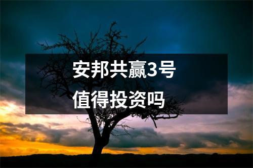 安邦共赢3号 值得投资吗 