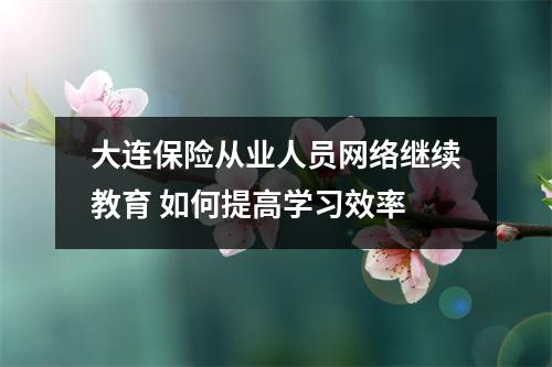 大连保险从业人员网络继续教育 如何提高学习效率