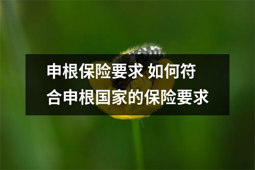 申根保险要求 如何符合申根国家的保险要求