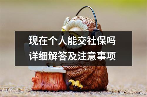现在个人能交社保吗 详细解答及注意事项