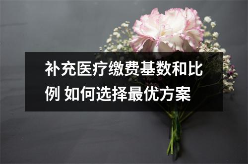 补充医疗缴费基数和比例 如何选择最优方案