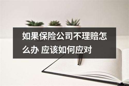 如果保险公司不理赔怎么办 应该如何应对