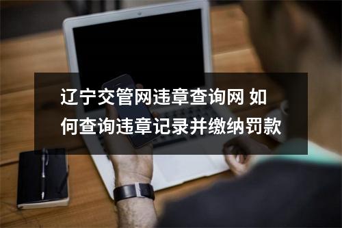 辽宁交管网违章查询网 如何查询违章记录并缴纳罚款